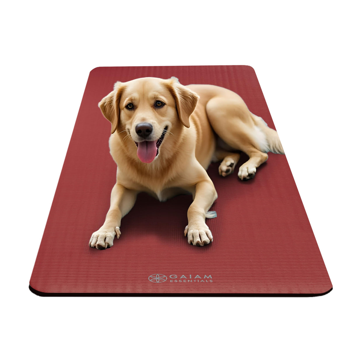 Essentials Thick Yoga Mat with Easy (Red / 2/5" (10MM))