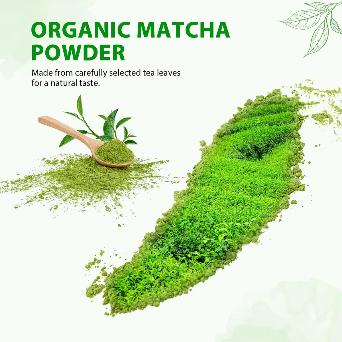Organic Matcha Powder (8 Ounce (Pack of 1))
