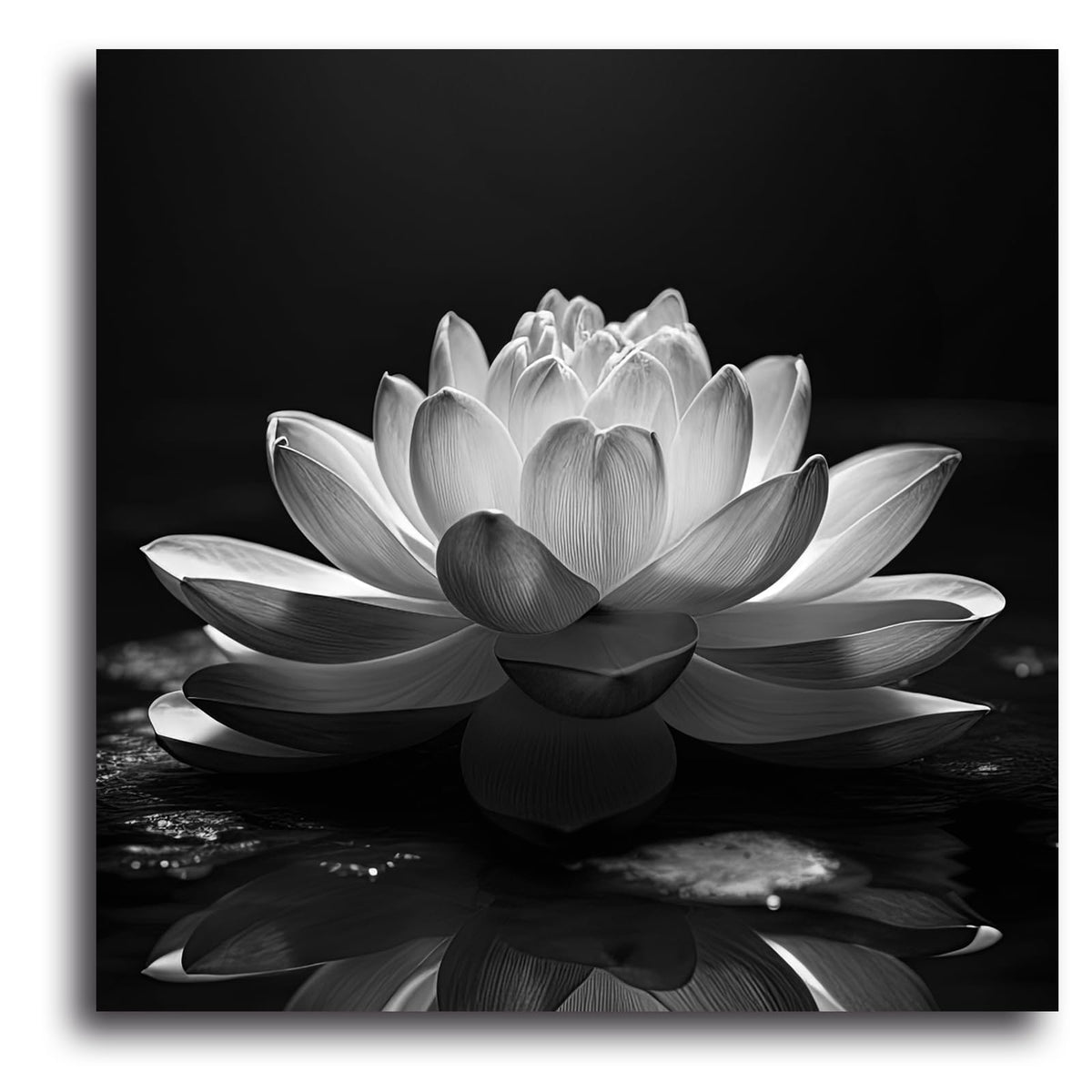 Black White Zen Canvas Wall Art Blossom Lotus Picture Water Lily Prints Spiritual Artwork for Bathroom Meditation Yoga Spa Room Decor (Picture-1 / 18"L x 18"W)