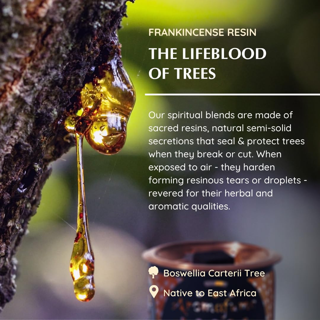 Frankincense Incense Bricks Refill Pack from Somaliland (Frankincense (Pack of 3))