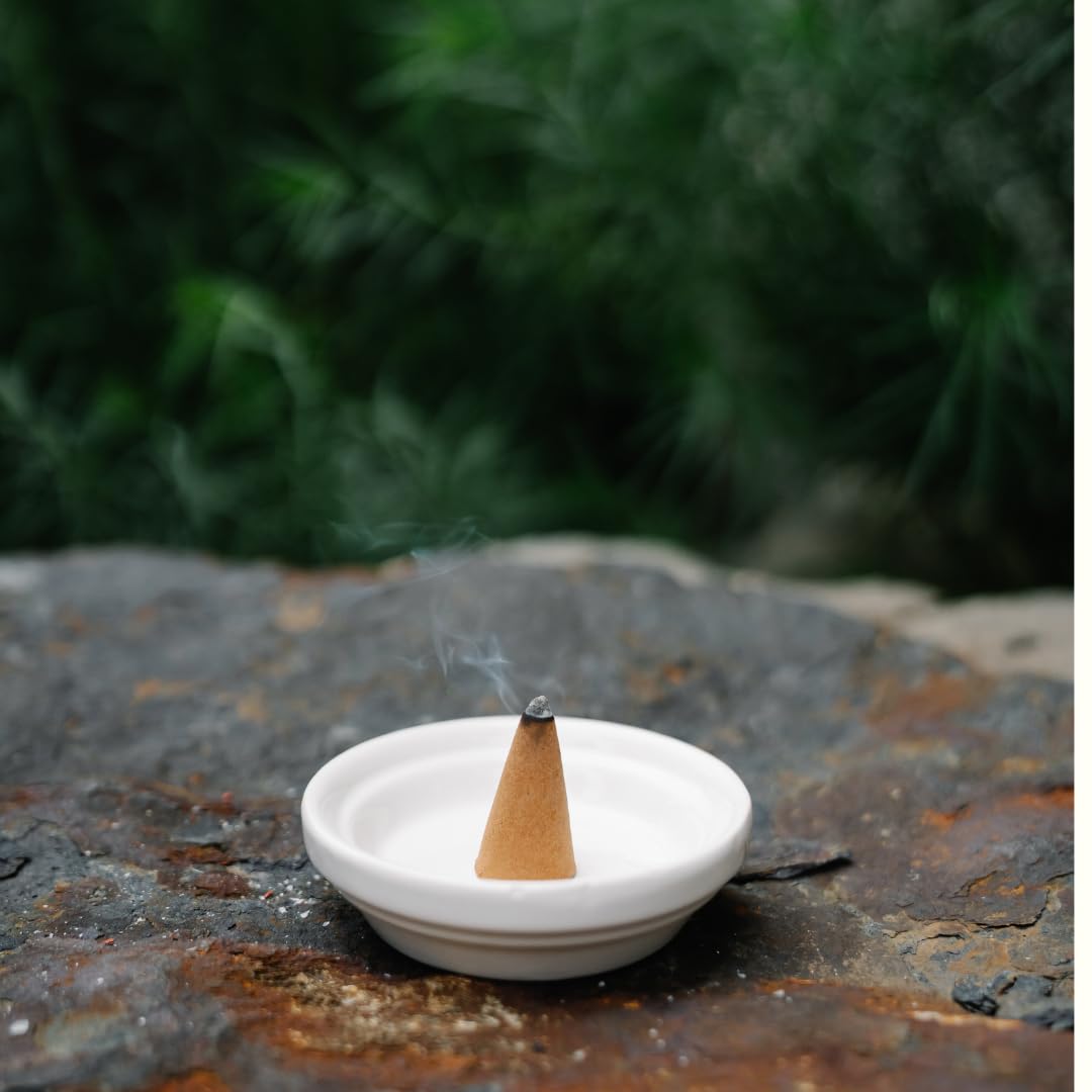 Citronella 100% (Citronella / Pack Of 60 Cones)