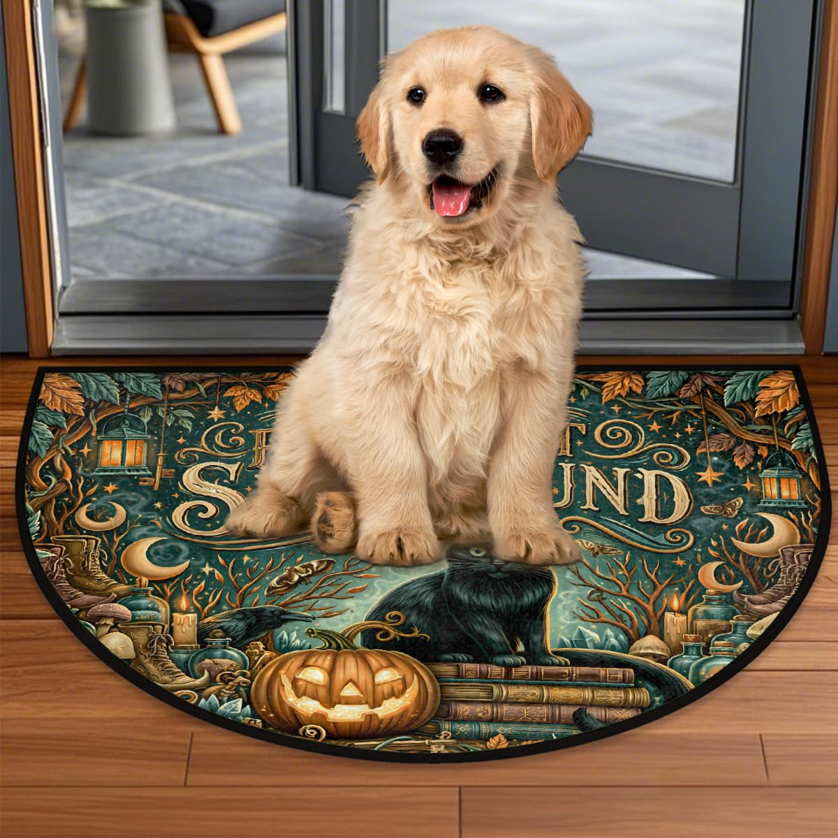 Cat Half Round Door Mat Semi Moon Rug Fireplace Carpet Area Rugs (B:color:37)