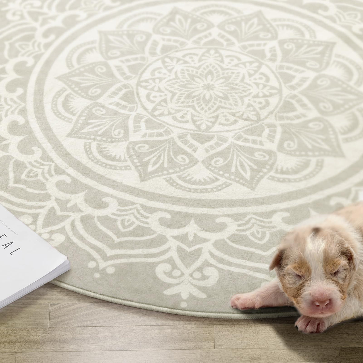 3ft Round Area Rug (Gray Ivory / 3' (Round))