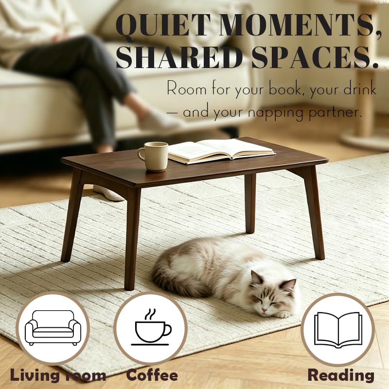Bamboo Folding Coffee Table (Chestnut / Large)