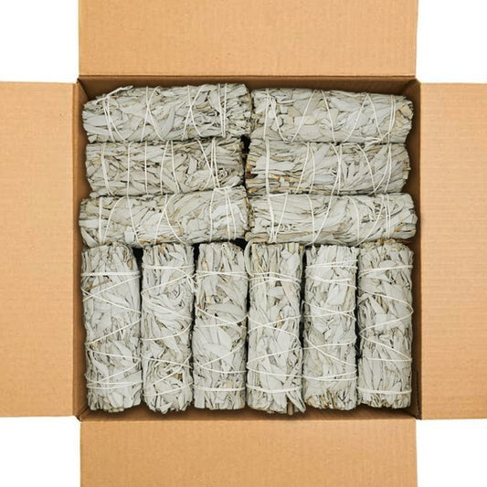 White Sage 4" (4 Inch / 100 PIECES)