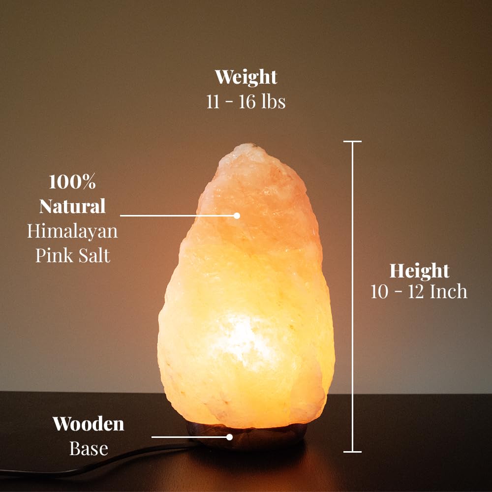 10 12 Inch Tall (Extra Large (10-12 inches))