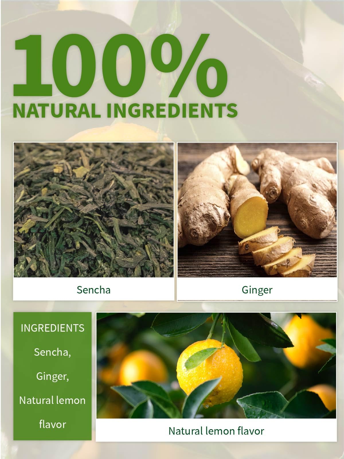 Lemon Ginger Green Tea Bags (100 Count (Pack of 1))