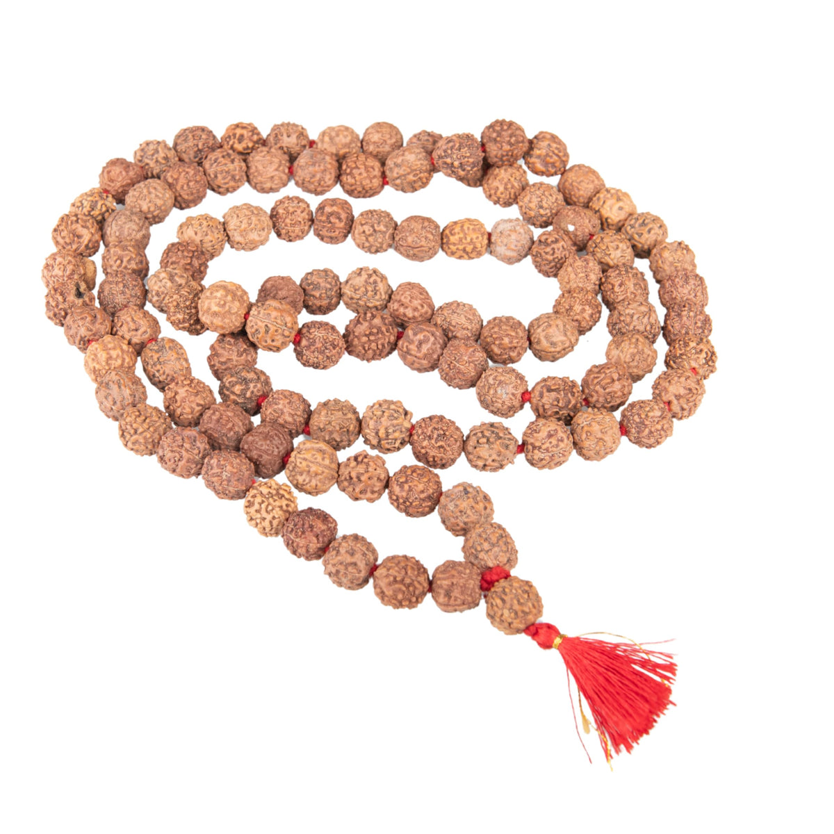 Certified 5face (Rudra 12mm)