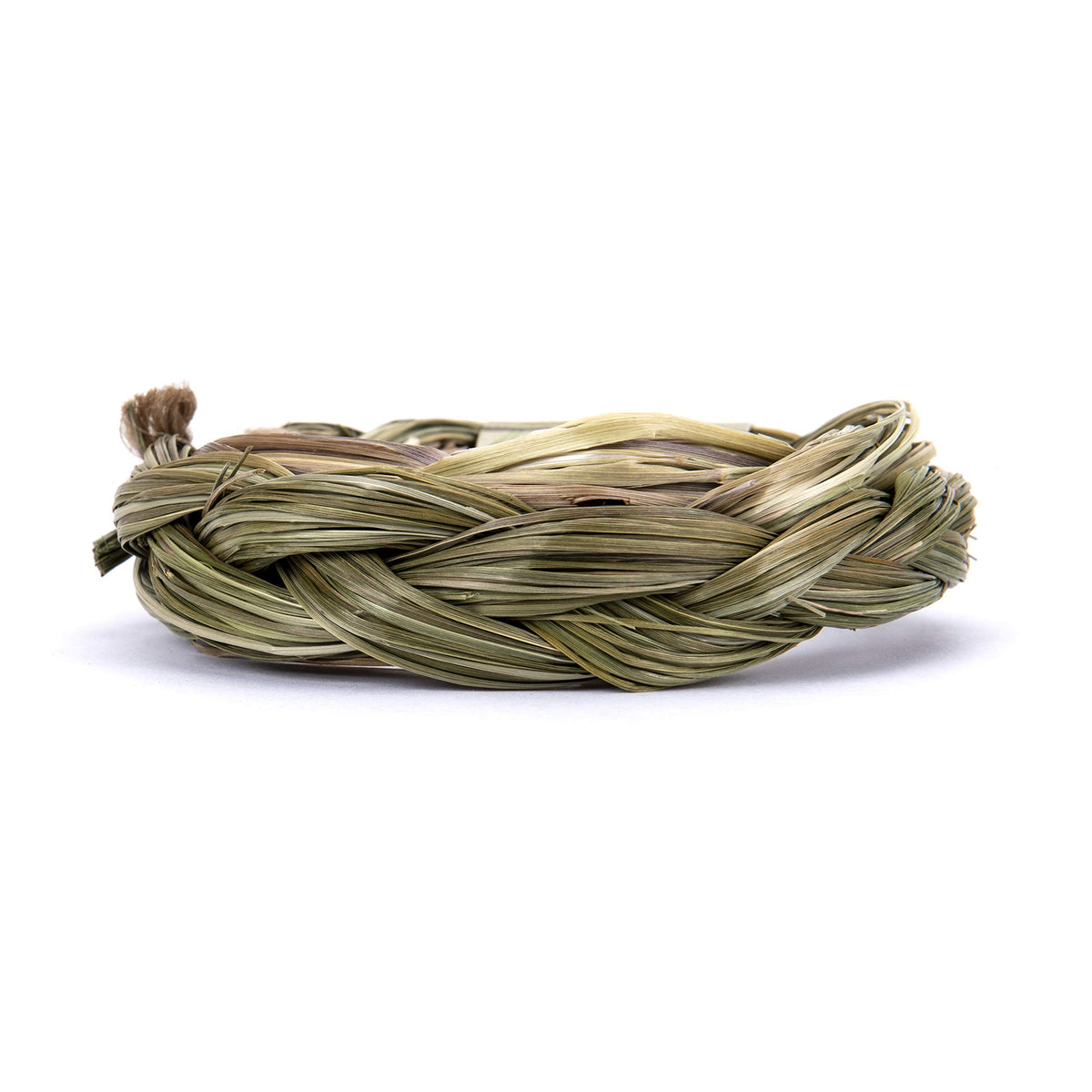 Sweetgrass Braid (Sweetgrass)
