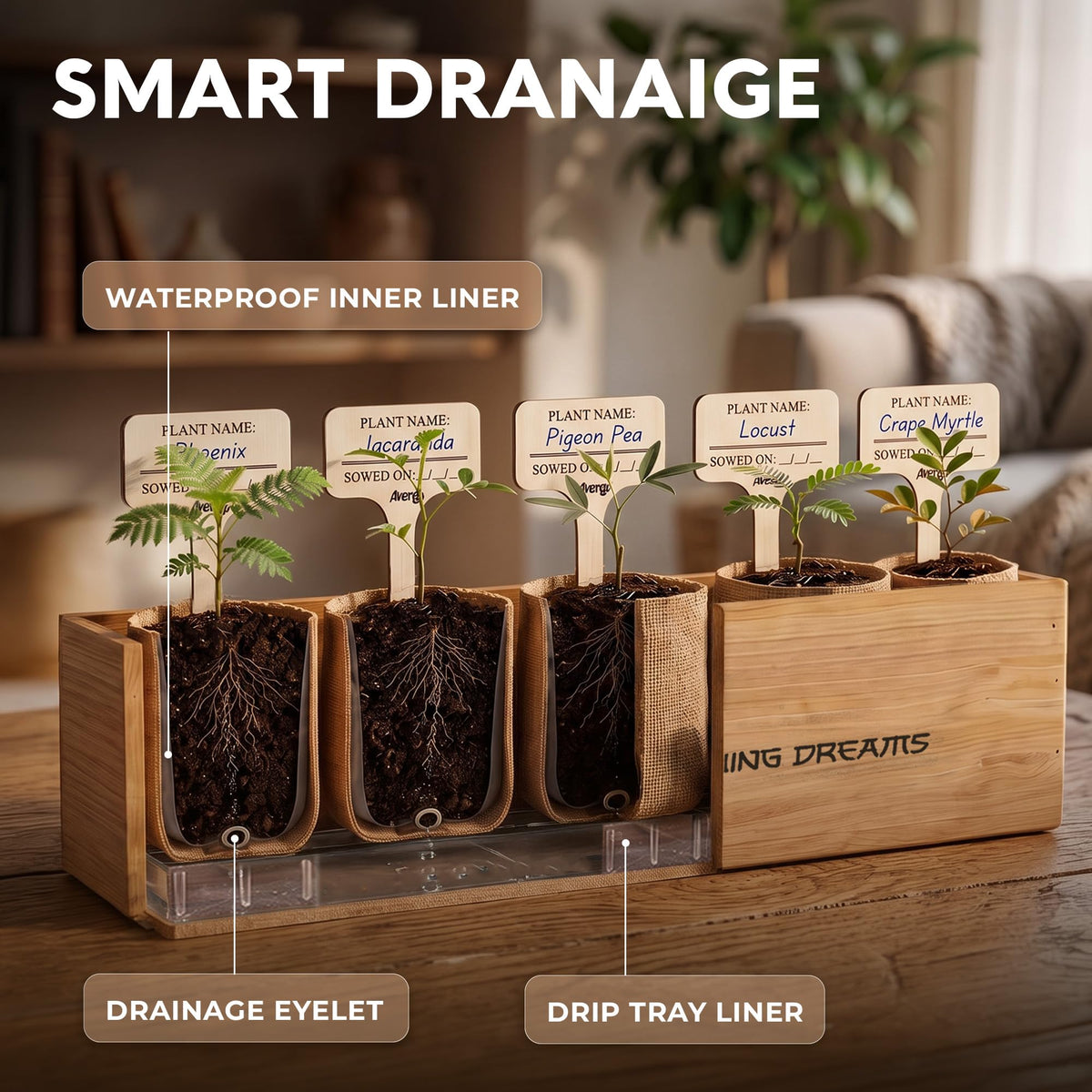 Bonsai Tree Kit Deluxe