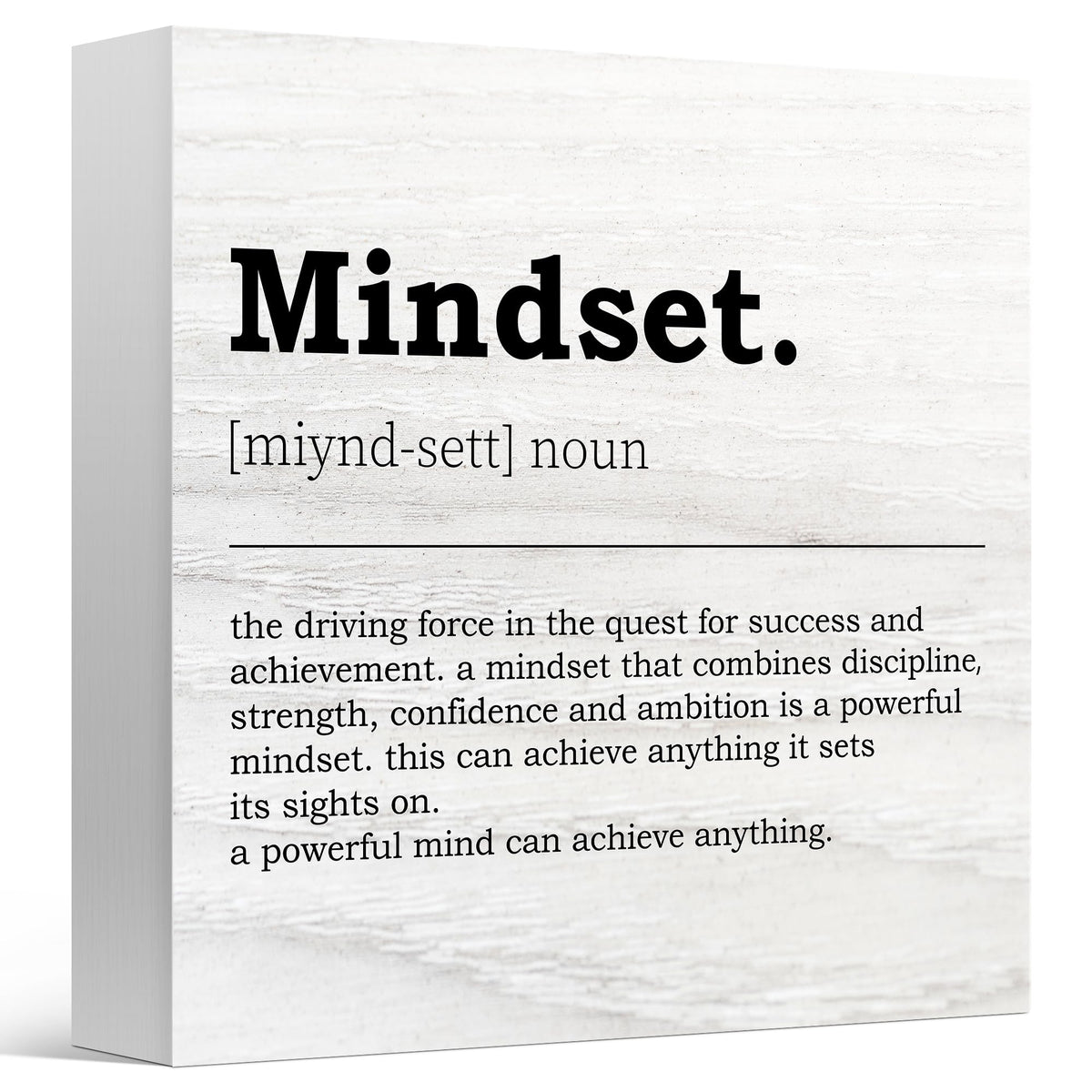 Mindset Definition Decor for Office (Coral)