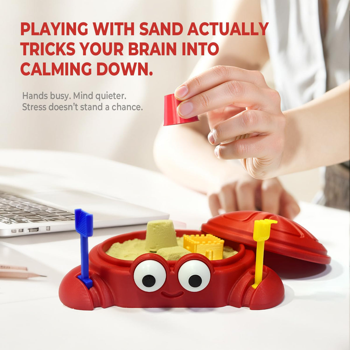 Mini Crab Sandbox Zen Garden for Desk