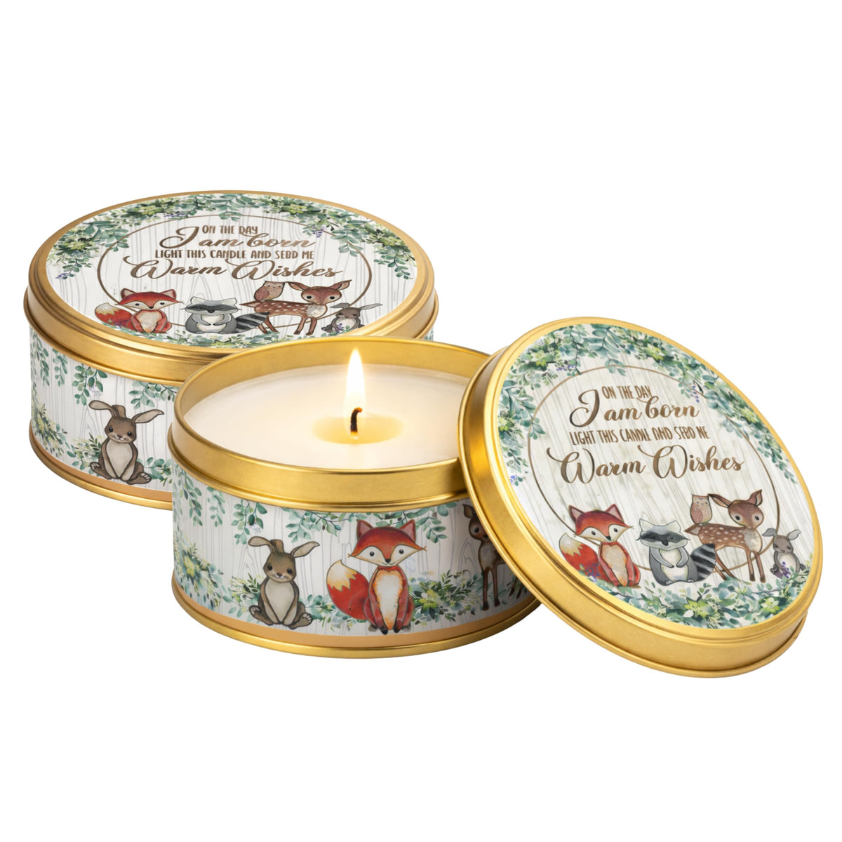 Woodland Scented Candle 9 (Woodland)