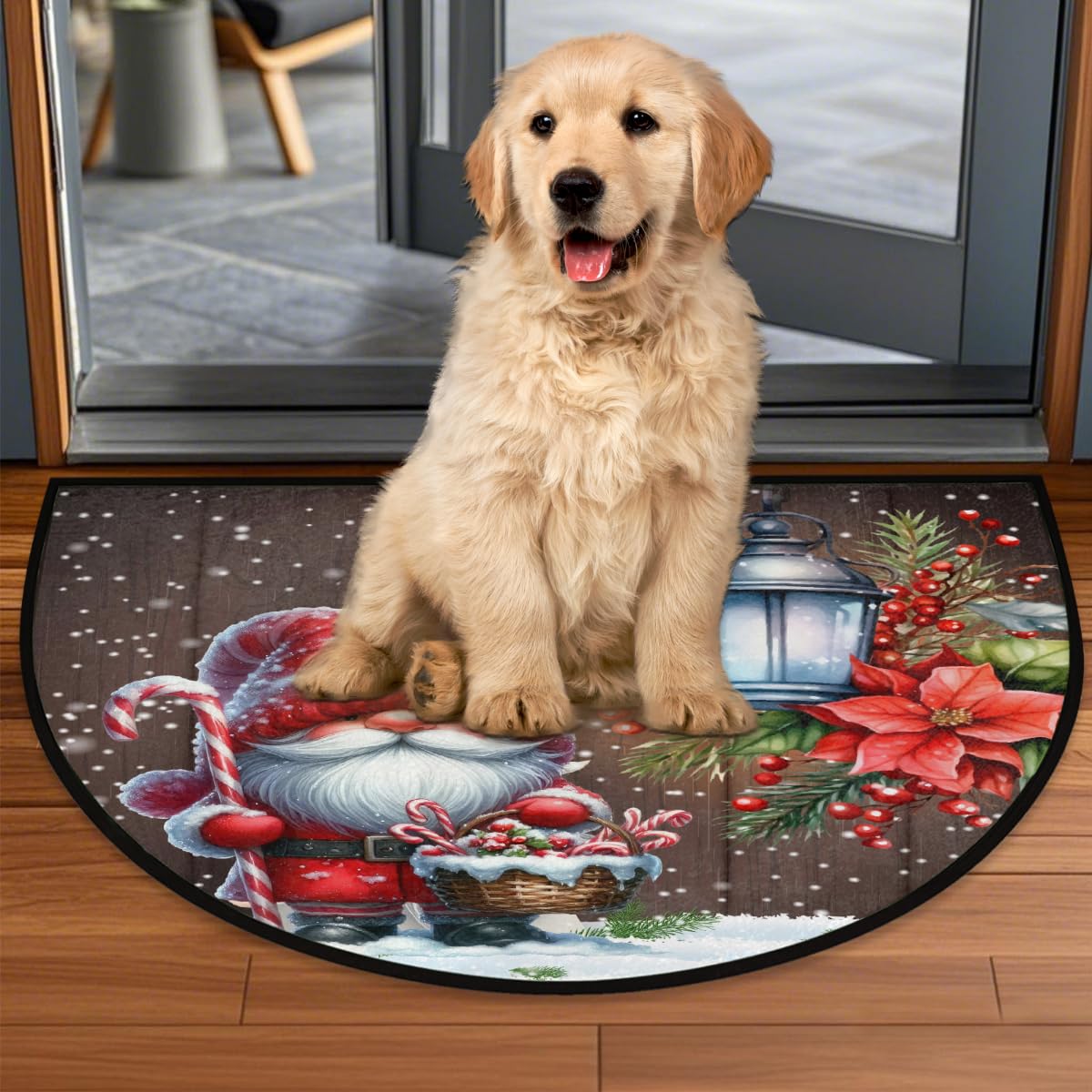 Gnome Half Round Door Mat Semi Circle Rug Half Moon Doormat (B:c-23)