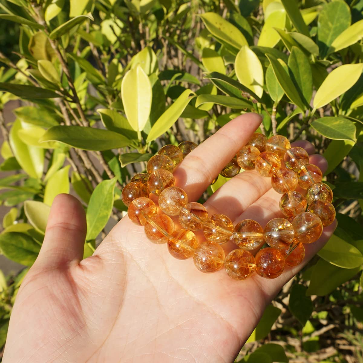 10MM Citrine Bracelet for Women Men Natural Yellow (10MM Citrine Bracelet)