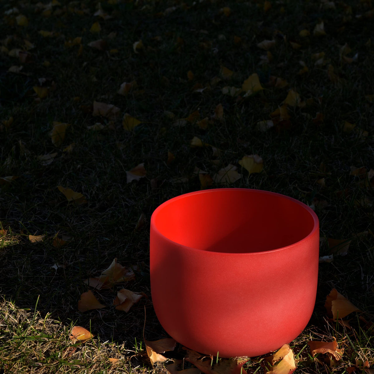 Red C Note Crystal Singing Bowl 8 inch Root Chakra with Heavy Duty Carrying Case and Suede Mallet (8 inch / Red C Note)